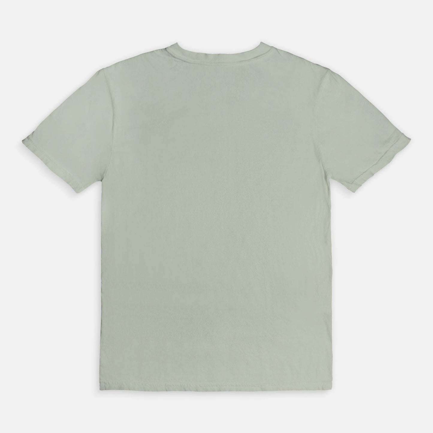 Safari Tour Comfort Colors Tee