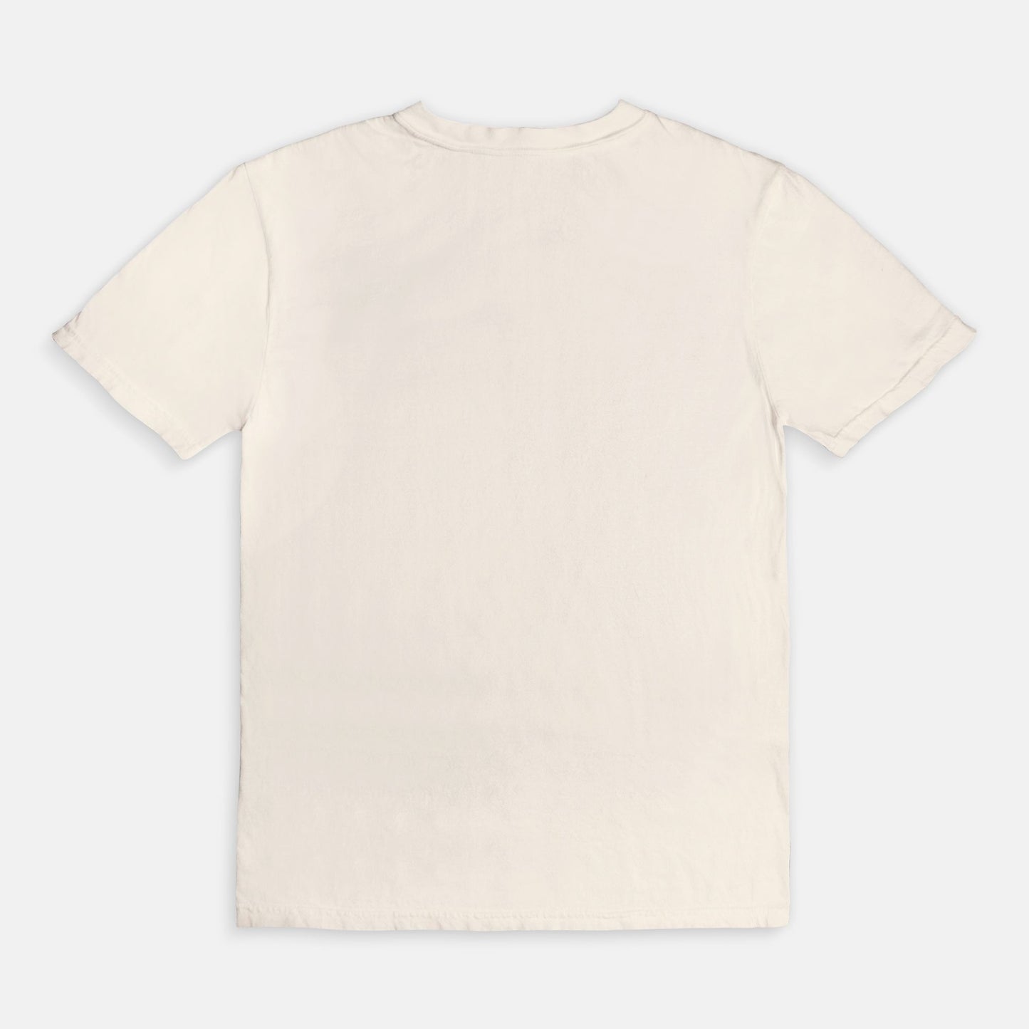Safari Tour Comfort Colors Tee